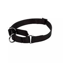 Coastal No Slip Martingale Adjustable Collar Black Dog 1pc 1x17-24in