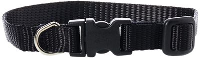 Lupine® Basics Combo Collars for Dogs Black 3/4&quot; x 14&quot; to 20&quot;