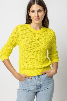 PA2454 Pointelle Sweater