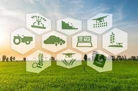 Servizio base di valutazione del sistema di gestione documentale aziendale per un'agricoltura di precisione