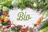 Corso online - livello PRO - Formazione per diventare Consulente/Formatore/Ispettore in Agricoltura Biologica Reg. UE 848/2018