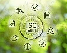 Servizio base di valutazione del sistema di gestione documentale per l'ambiente ISO 14001-2015 annuale