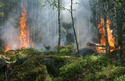 Antincendio