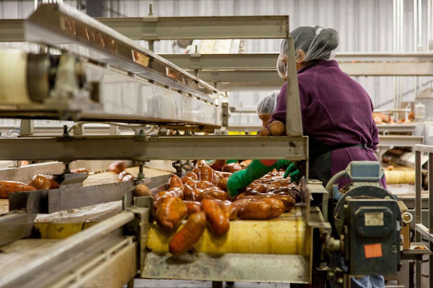 Corso E-Learning di AGGIORNAMENTO OBBLIGATORIO degli addetti dell'industria alimentare che NON MANIPOLANO alimenti.