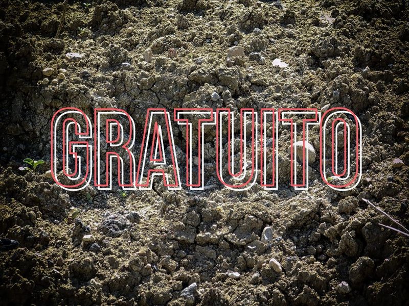 Corso online - livello BASE - GRATUITO - Formazione per diventare Consulente e/o Formatore per l'Interpretazione e l'Elaborazione agrotecnica delle Analisi Chimiche del Terreno Corso online - livello BASE - GRATUITO - Formazione per diventare Consulente e/o Formatore per l'Interpretazione e l'Elaborazione agrotecnica delle Analisi Chimiche del Terreno