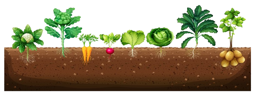Corso E-Learning - livello BASE - Produzioni Agroalimentari Sostenibili