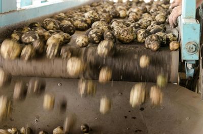 Industria Agroalimentare - Ortofrutta
