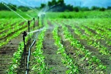 Corso E-Learning base per l'interpretazione della qualità delle acque di irrigazione Corso E-Learning base per l'interpretazione della qualità delle acque di irrigazione