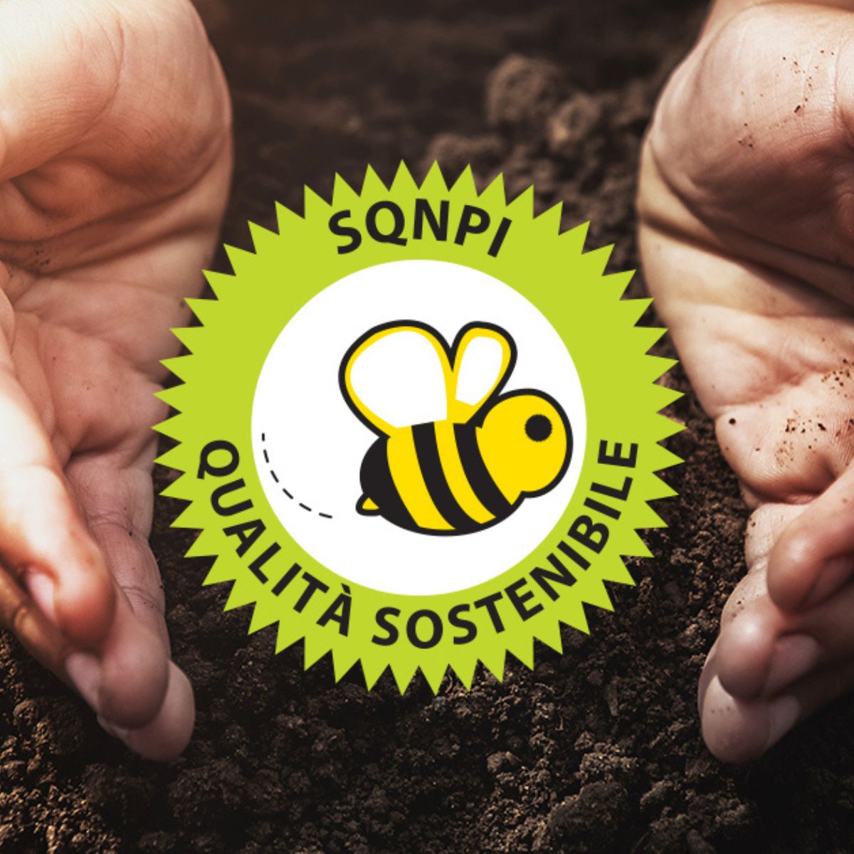 Corso di formazione per il consulente ed auditor interno SQNPI REG. CE 1974/2006