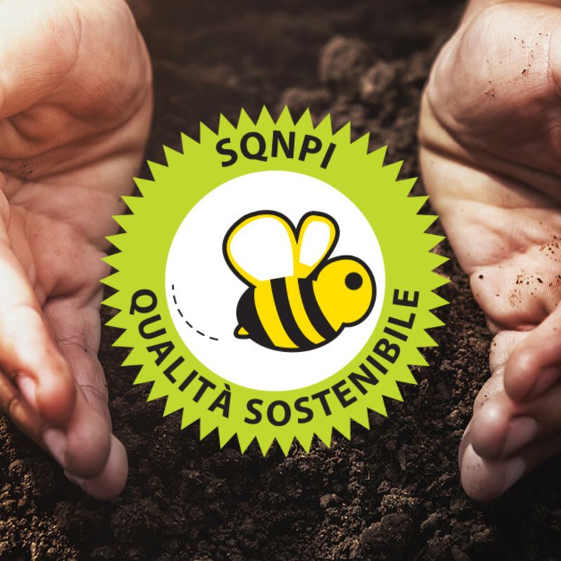 Corso di formazione per il consulente ed auditor interno SQNPI REG. CE 1974/2006