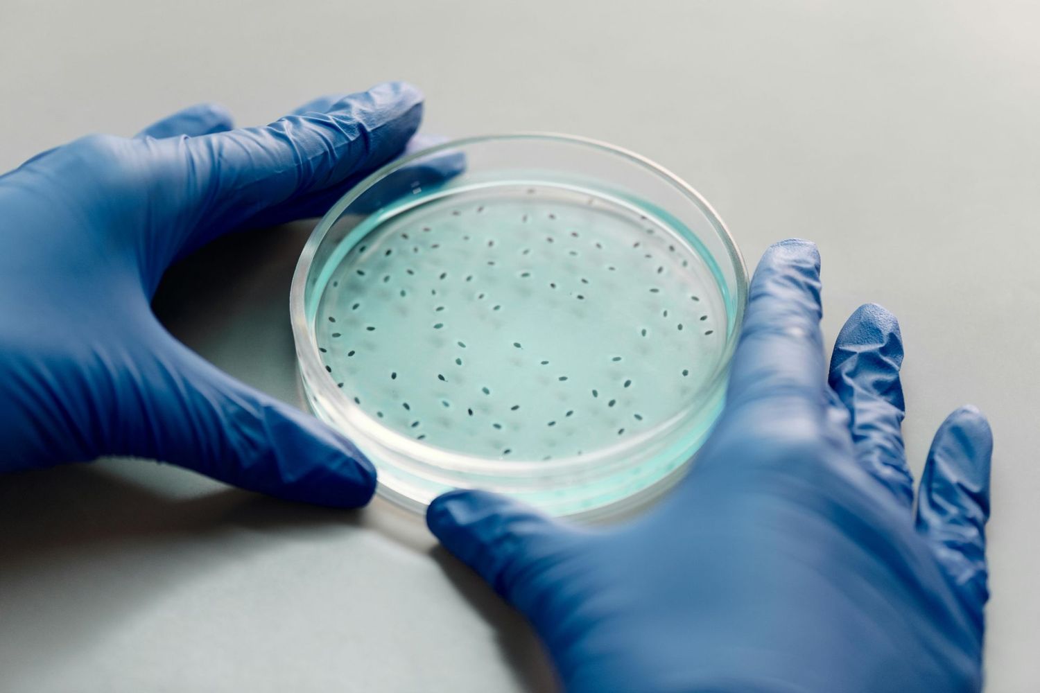 Analisi e tamponi delle superfici a contatto con gli alimenti