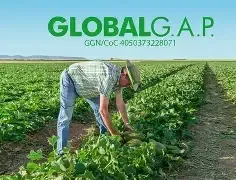 Corso di formazione per il consulente ed auditor interno GlobalG.A.P. versione 6