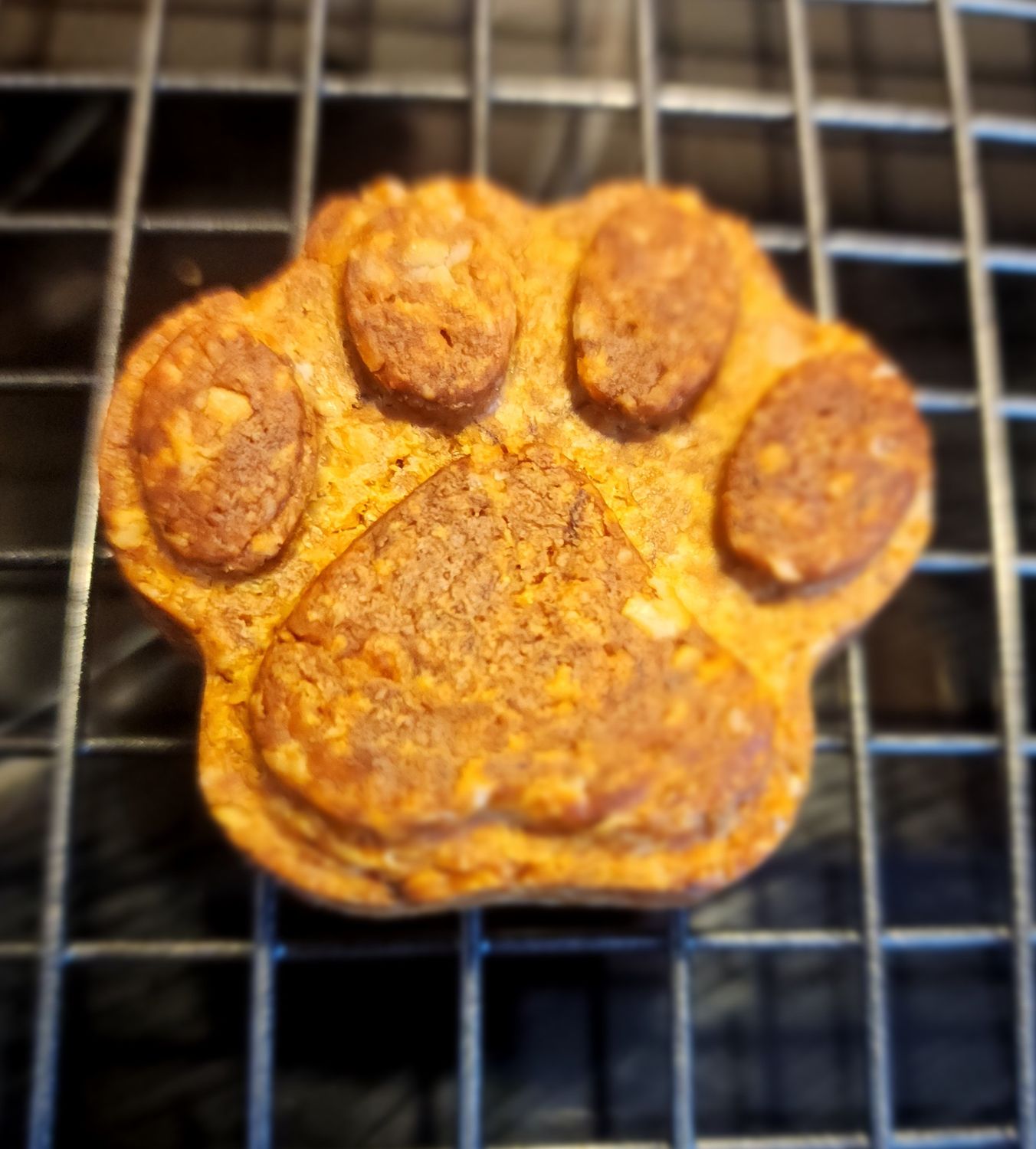 Large Treats (Choose Flavor)