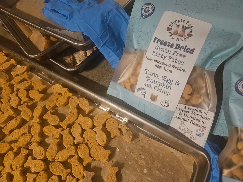 Freeze Dried Cat treats- New Improved 
