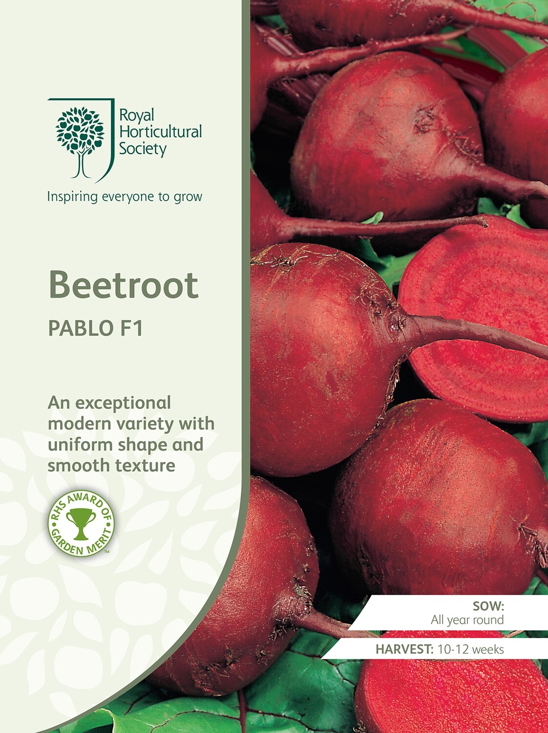 Beetroot Pablo F1