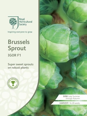 Brussels Sprout Igor F1