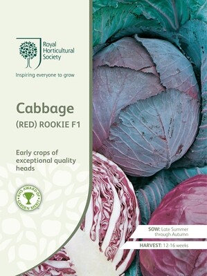 Cabbage (Red) Rookie F1