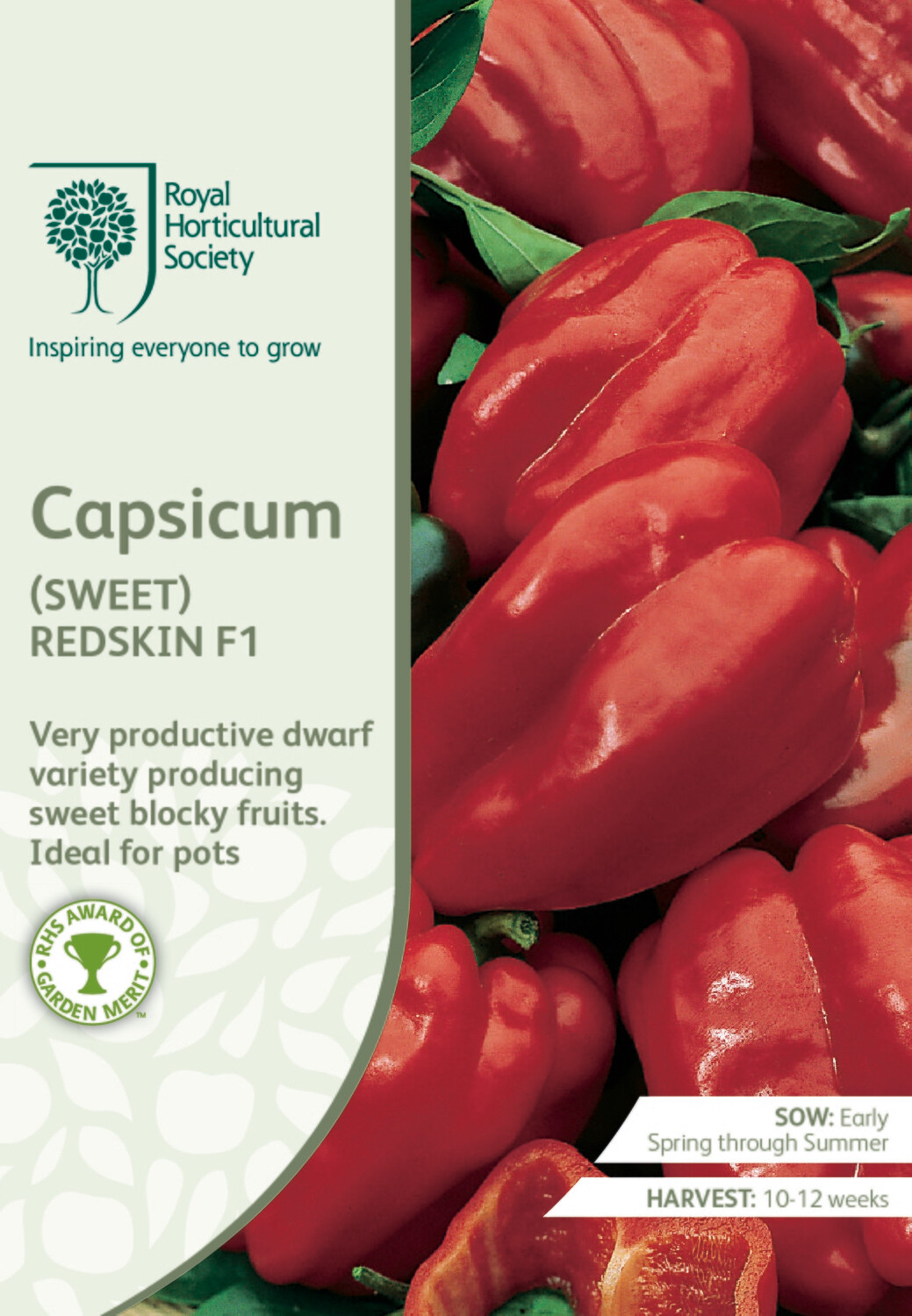 Capsicum Sweet Redskin F1