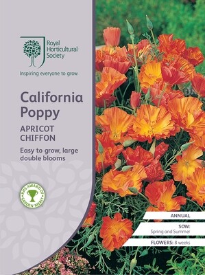 California Poppy Apricot Chiffon