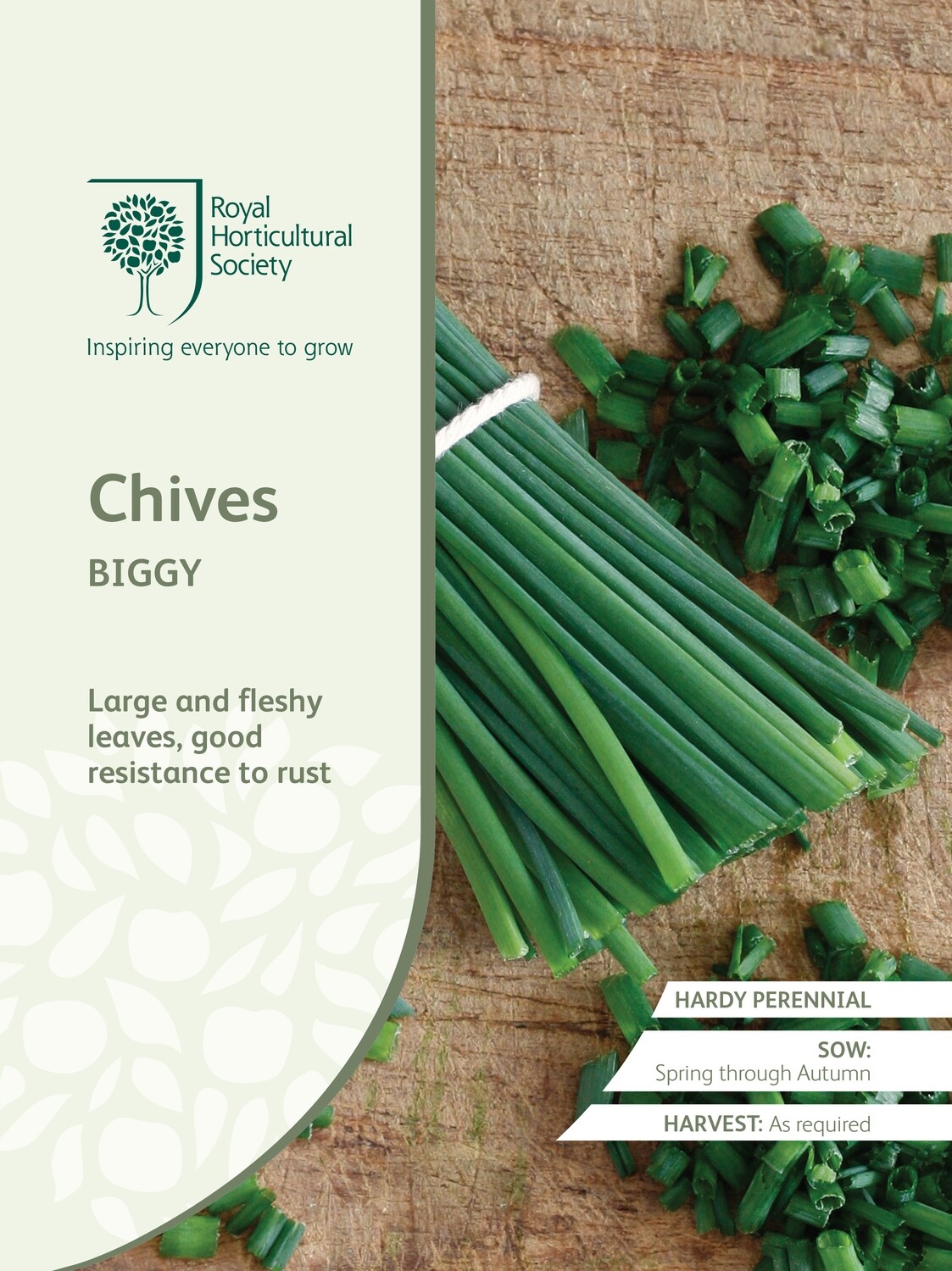 Chives Biggy