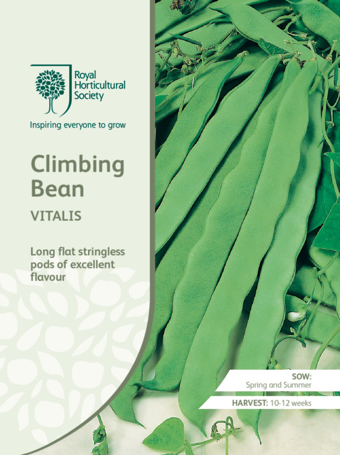Climbing Bean Vitalis