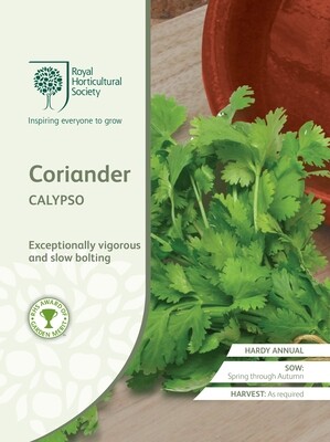 Coriander Calypso