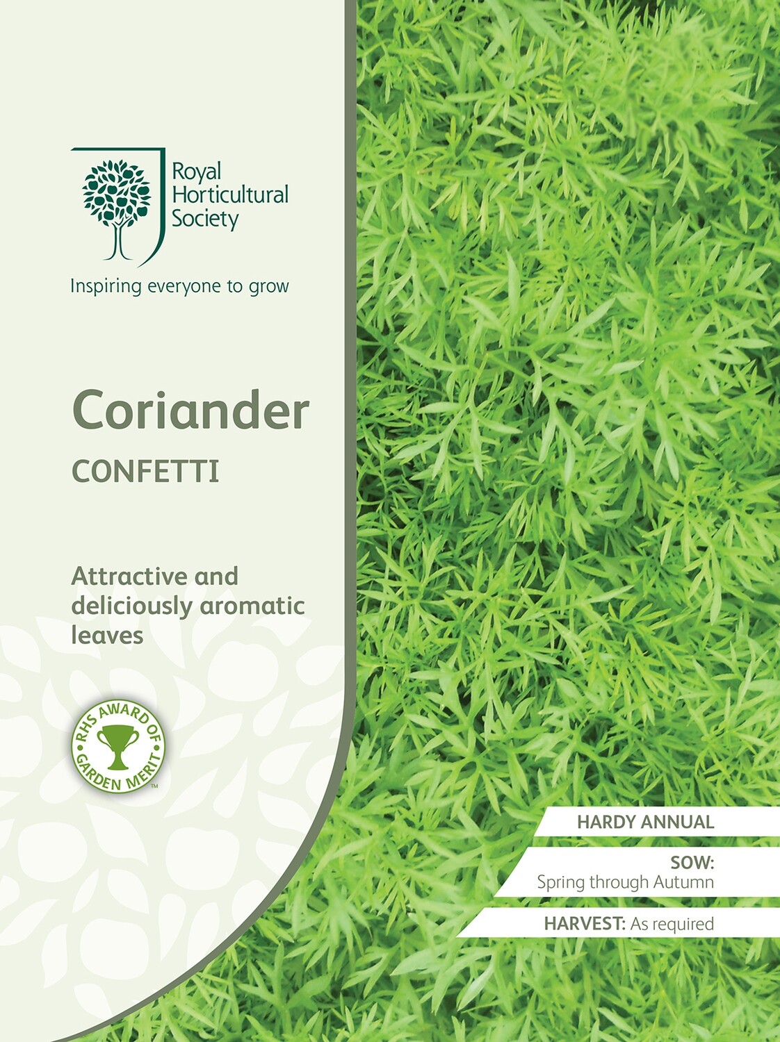 Coriander Confetti