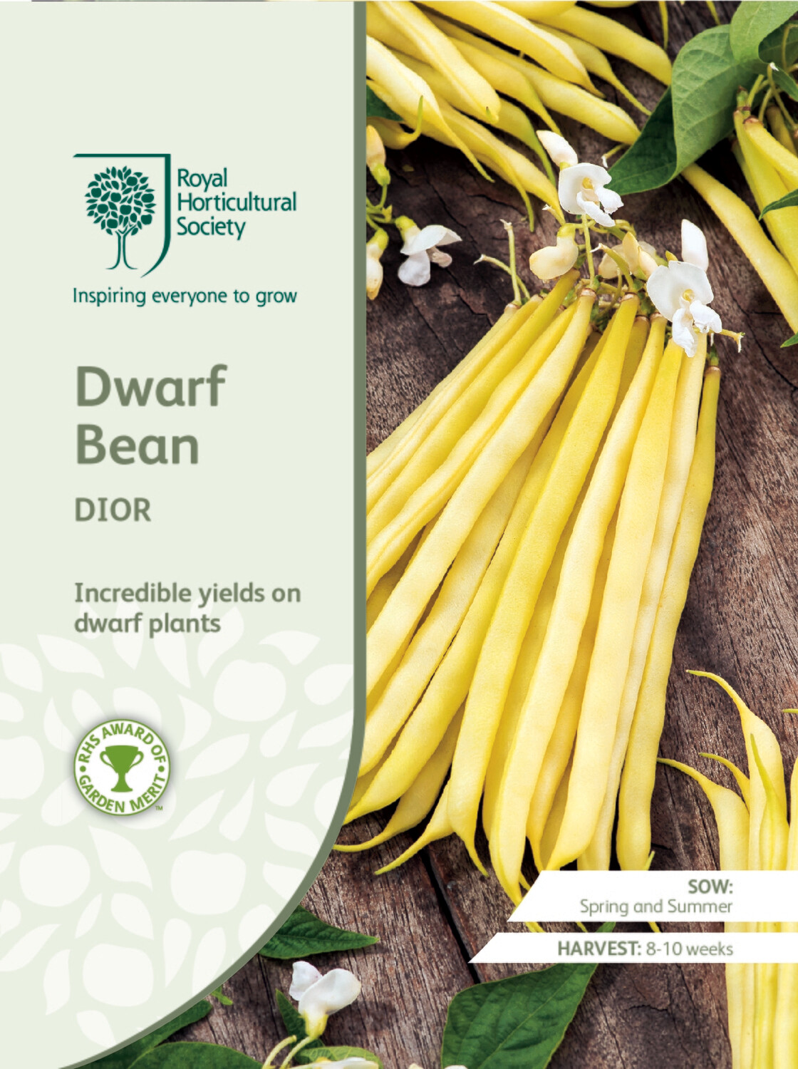 Dwarf Bean Dior