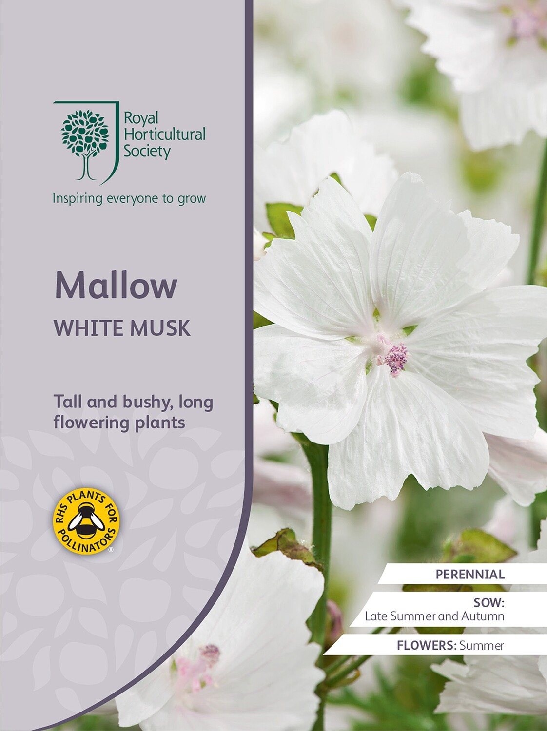Mallow White Musk