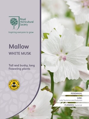 Mallow White Musk