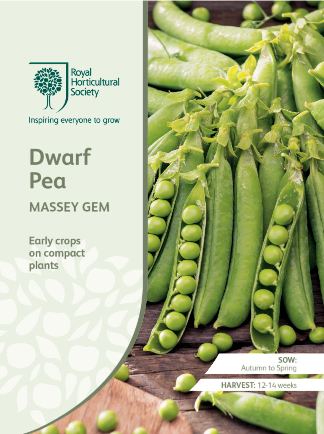 Dwarf Pea Massey Gem