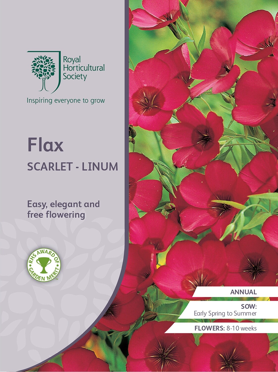 Flax Scarlet - Linum
