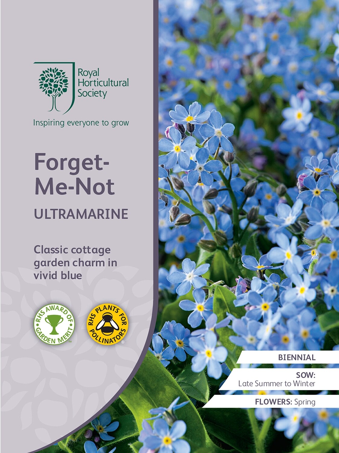 Forget-Me-Not Ultramarine