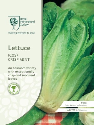 Lettuce (Cos) Crisp Mint