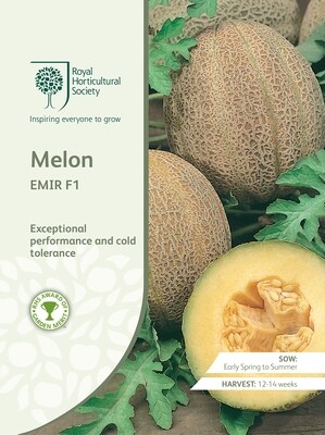 Melon Emir F1