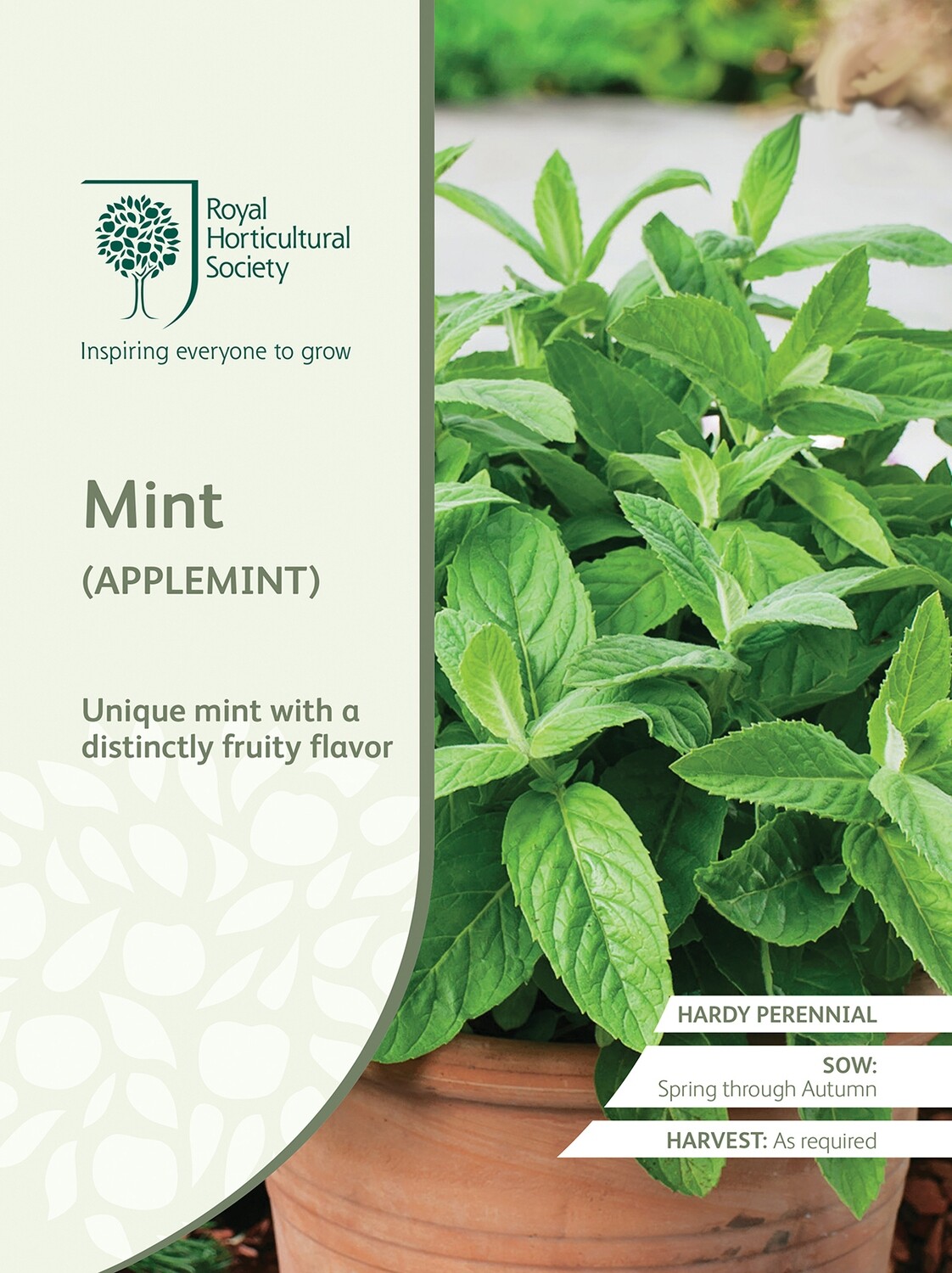 Mint Applemint