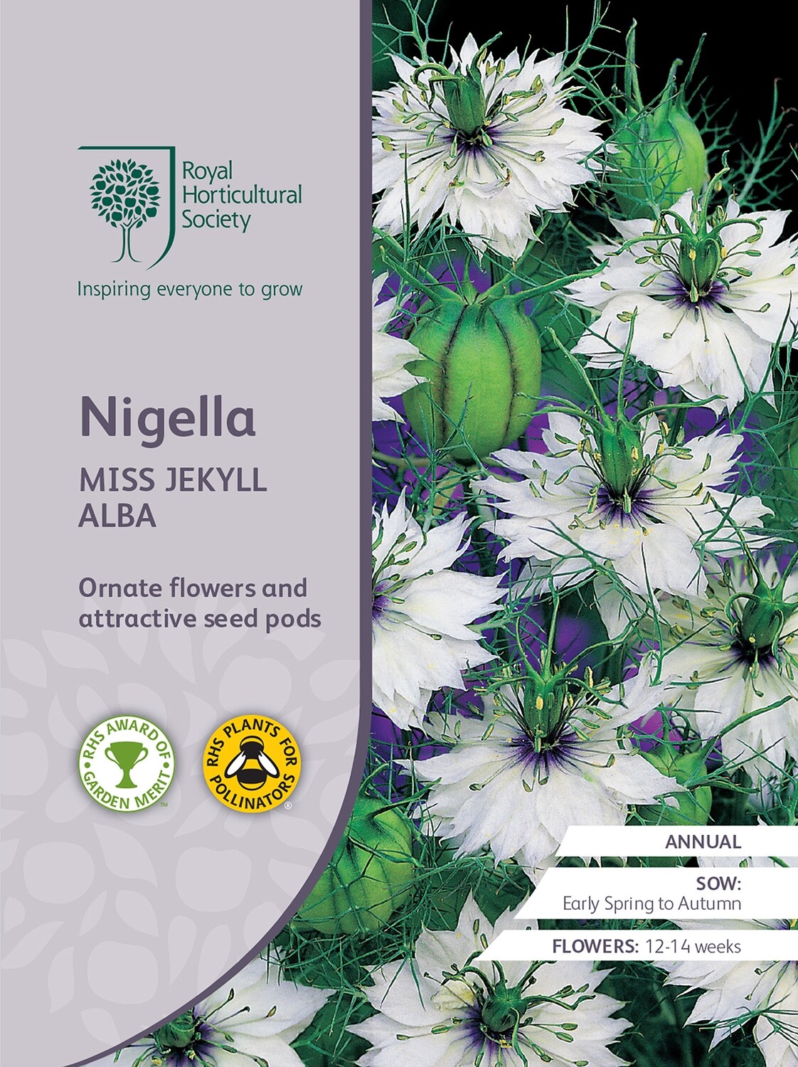 Nigella Miss Jekyll Alba