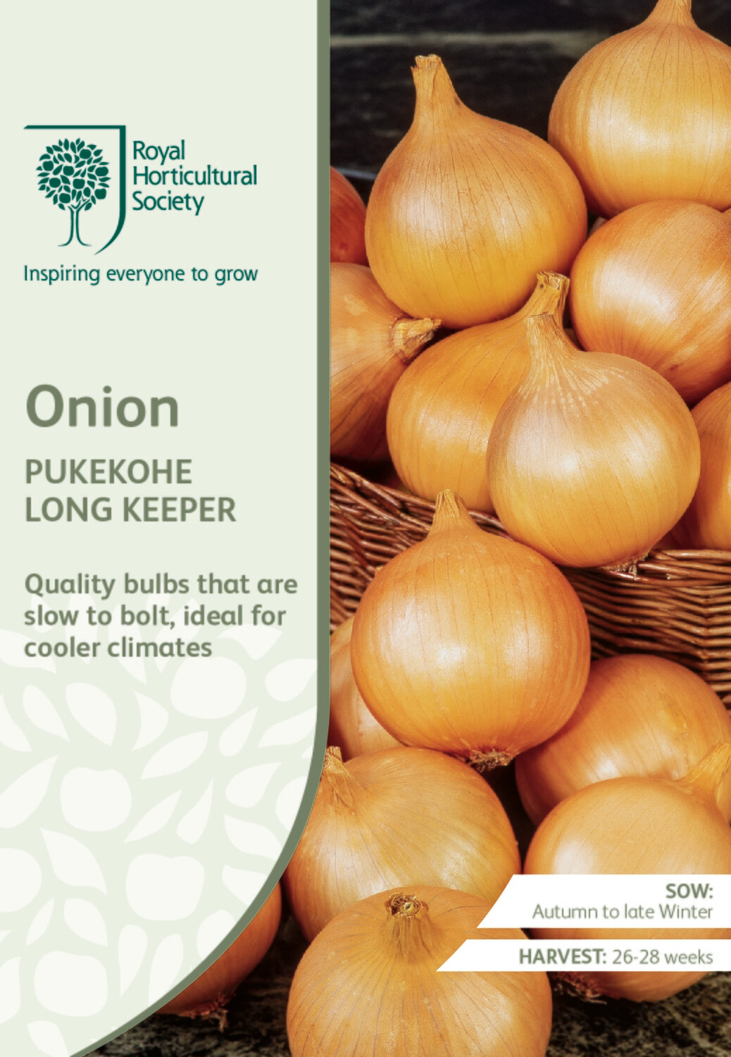 Onion Pukekohe Long Keeper