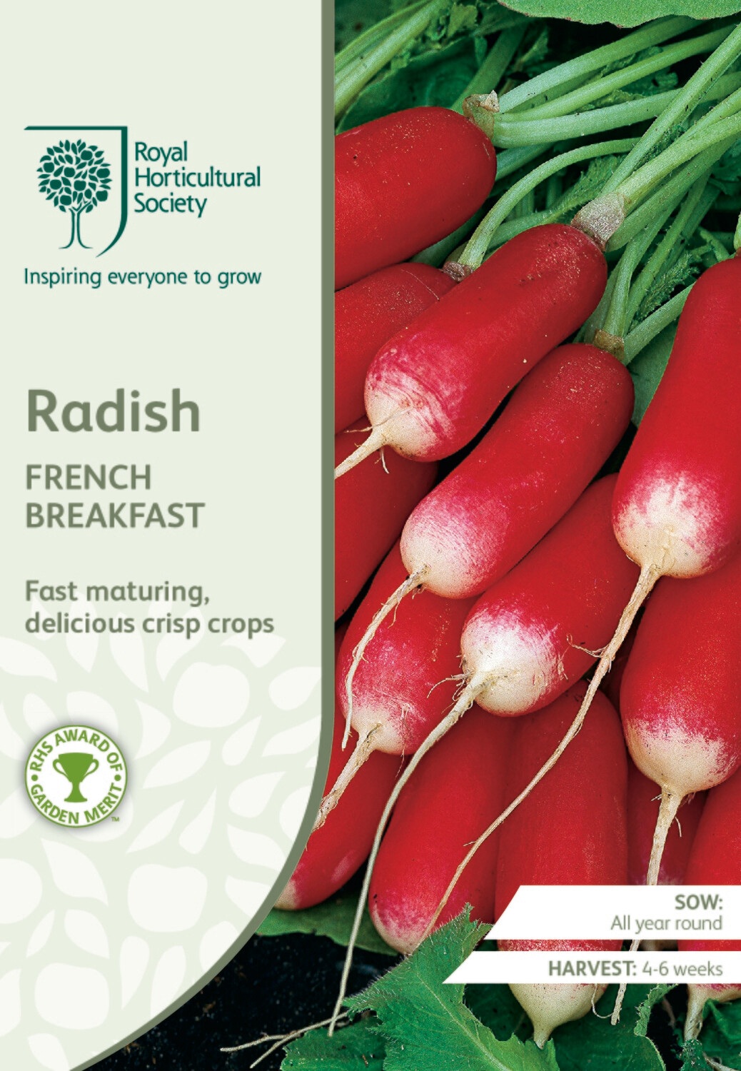 Radish French Breakfast