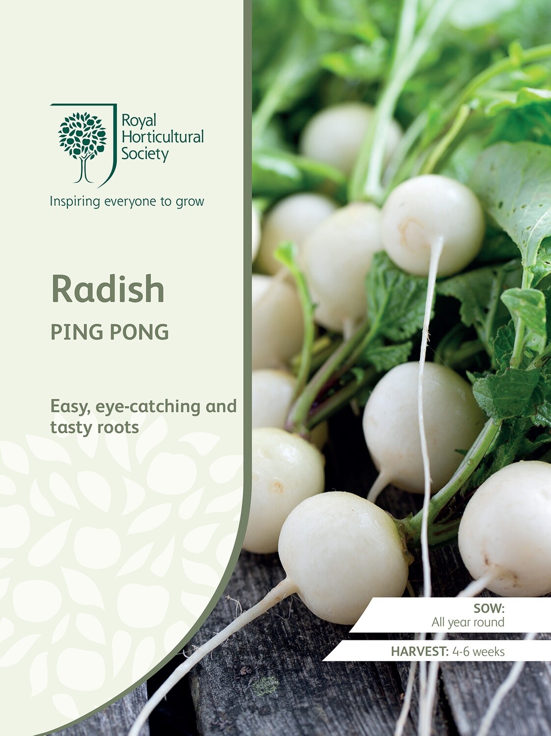 Radish Ping Pong
