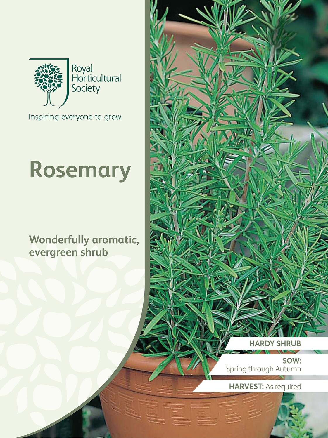 Rosemary