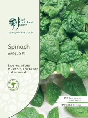 Spinach Apollo F1