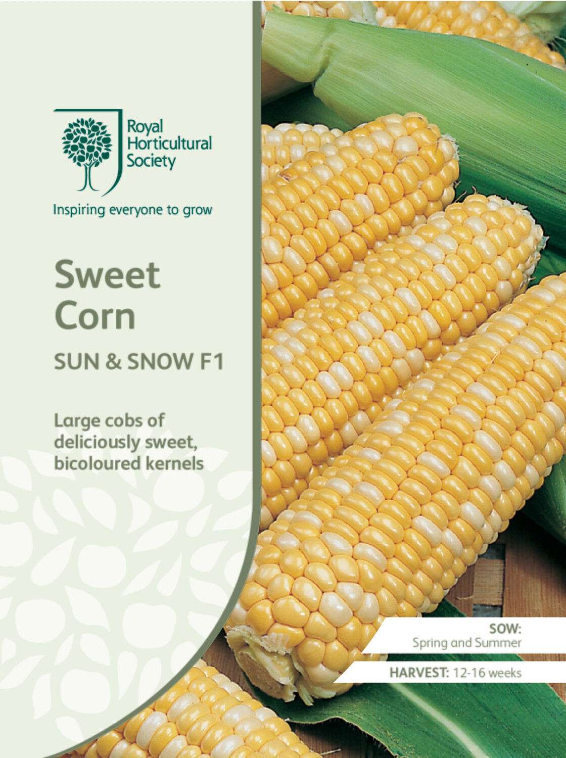 Sweet Corn Sun &amp; Snow F1