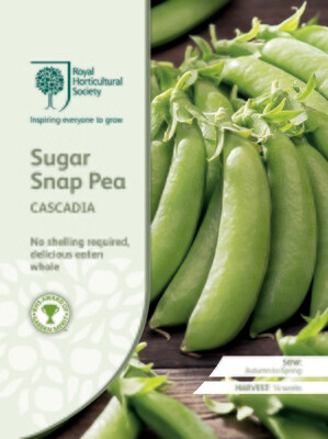 Sugar Snap Pea Cascadia