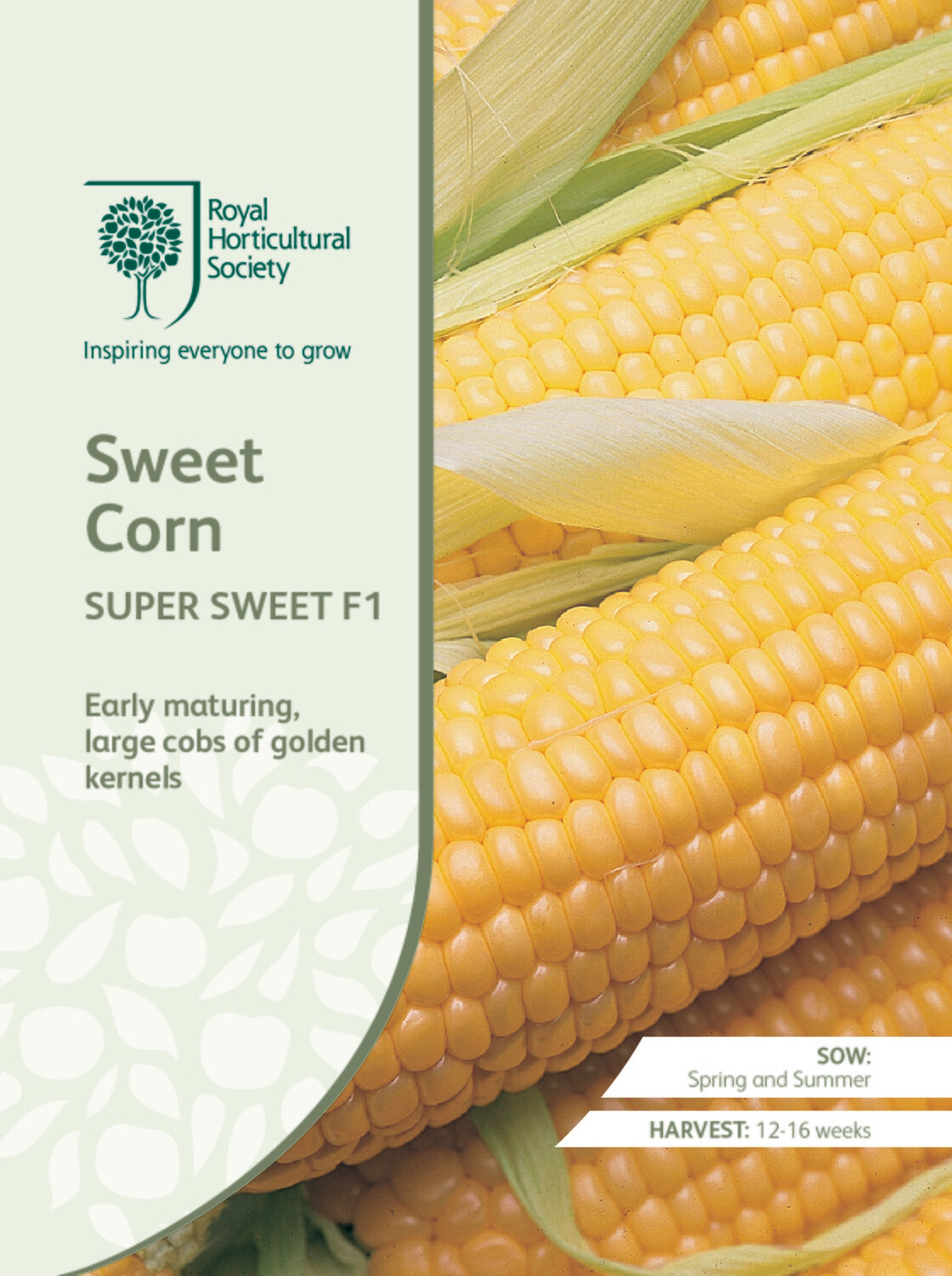 Sweet Corn Super Sweet F1