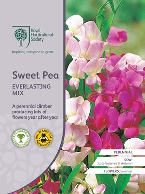 Sweet Pea Everlasting Mix