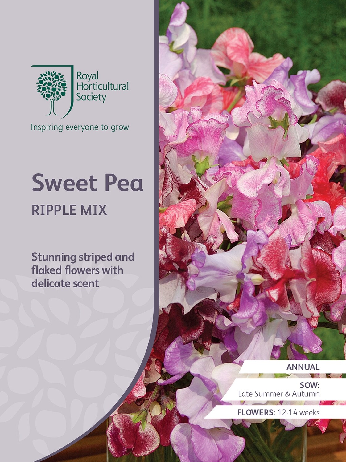 Sweet Pea Ripple Mix