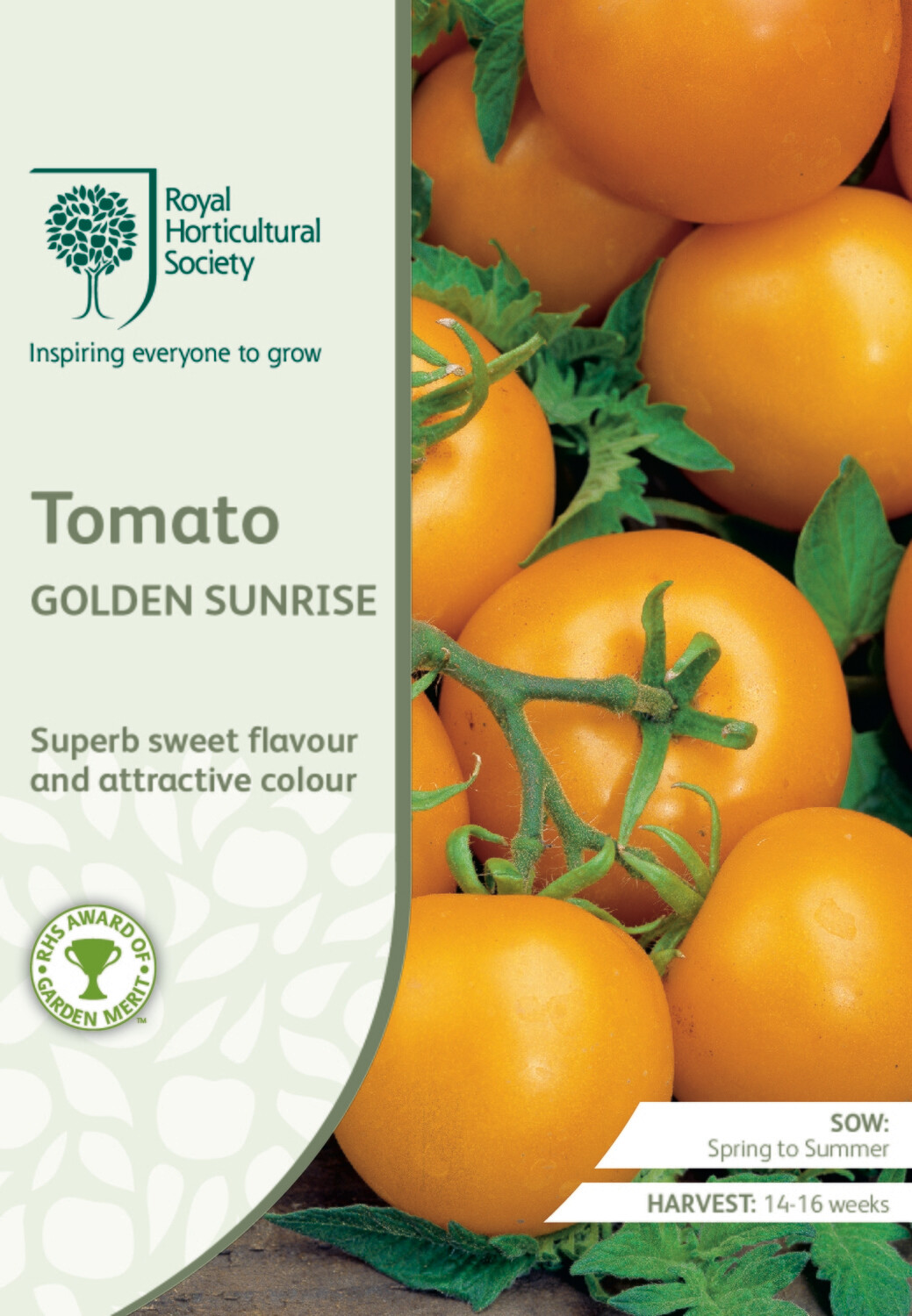 Tomato Golden Sunrise