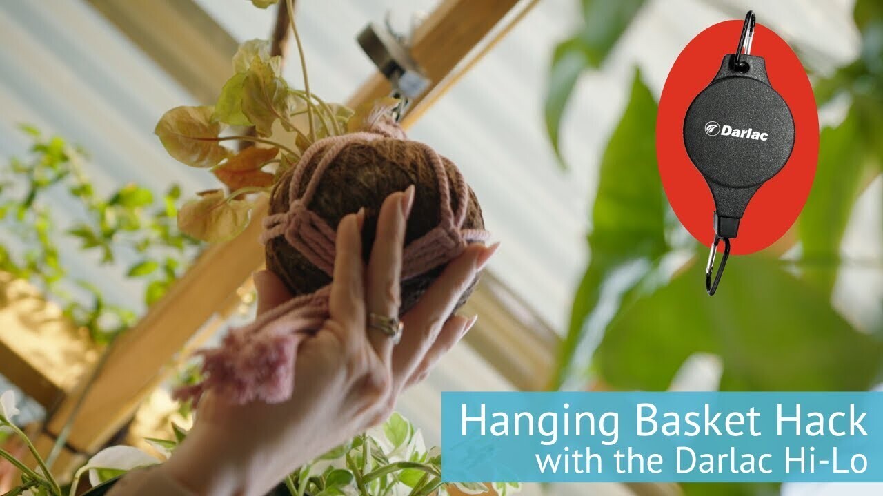 Darlac Hi-Lo For Hanging Baskets