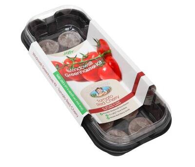 Windowsill Greenhouse Kit - Tomato Red Cherry
